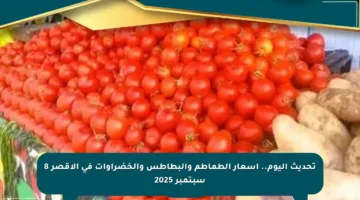 تحديث اليوم.. أسعار الطماطم والبطاطس والخضراوات في الأقصر 8 سبتمبر 2025